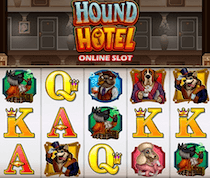 Hound Hotel