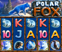 Polar Fox BTD